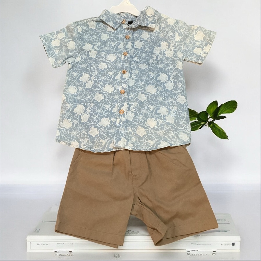 Picapino Toddler Two Piece Short Set Size 3T ~ Light Blue Shirt & Brown Short